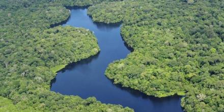 La ONU alertó sobre la esclavitud moderna ligada a la destrucción de la Amazonía en Brasil