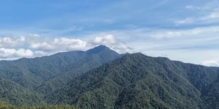 Tincorp cambiará su nombre para reforzar su apuesta por proyecto en Ecuador