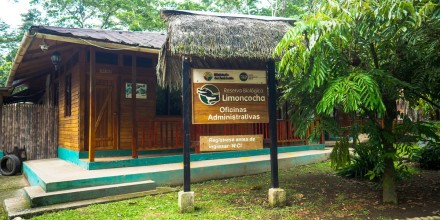 Militares protegerán a guardianes de áreas naturales protegidas