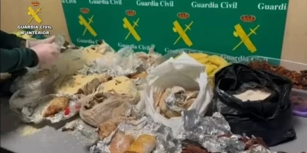 Decomisan cuy y fármacos en vuelos desde Ecuador y China