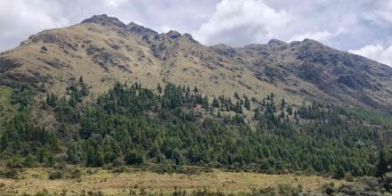 Organizaciones internacionales pidieron a DPM el cierre de Loma Larga