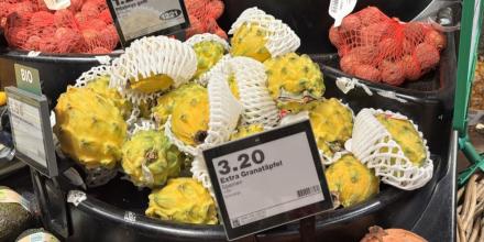 Pitahaya gana espacio en mercados internacionales