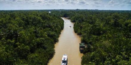 7 países amazónicos crearon un instrumento financiero de $ 1.000 millones