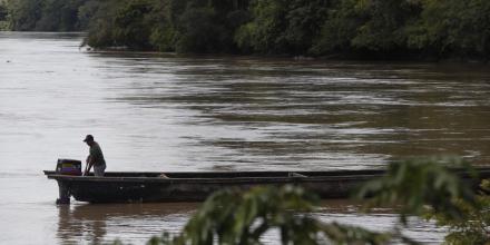Colombia: La deforestación en la Amazonía cayó un 33 % en el primer trimestre