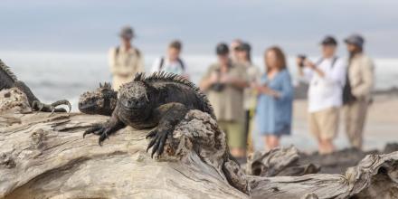 Galápagos registró 145.000 turistas en primer semestre de 2025