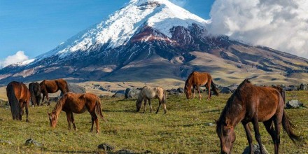 Turismo en Ecuador: los volcanes se consolidan como destinos para vivir experiencias más allá del paisaje 