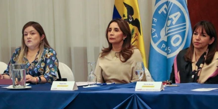 Ecuador prepara proyectos de inversión para ganadería y cacao con apoyo de la FAO