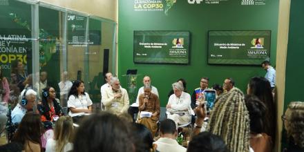 La OTCA lanzó proyecto para unificar métodos de monitoreo de tala en la Amazonía