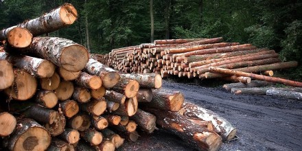Inversión extranjera directa creció 85,7 % durante el primer trimestre de 2026