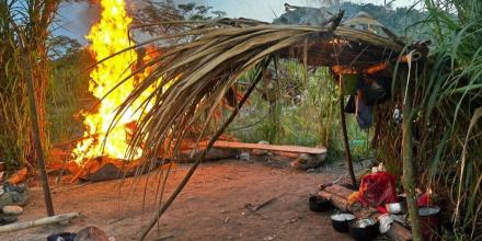 Las operaciones contra la minería ilegal en la Amazonía se intensifican