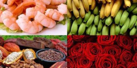 Gobierno destaca avances económicos y sociales al cierre de 2025 