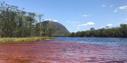 Caño San Joaquín en Guainía: el “río rojo” que se convierte en la nueva joya turística de Colombia