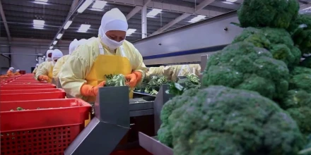 Agro apuesta por tecnología para crecer en 2026