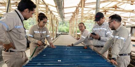 Cascabel se prepara para producción inicial en 2028