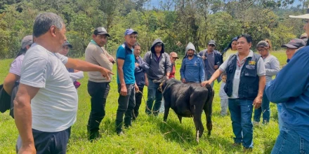 Capacitación impulsa prácticas de ganadería sostenible en productores de Napo