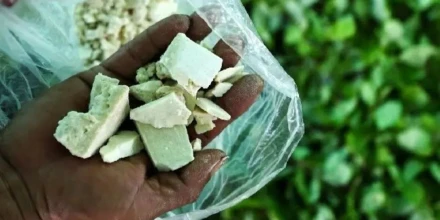 Condenan a 19 años de prisión a hombre por tráfico de drogas en Orellana