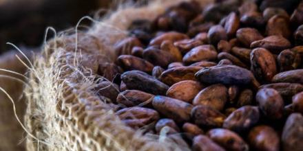 La tonelada de cacao se cotizó en $ 8.090,00