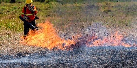 Incendios en Bolivia, Paraguay y Brasil provocan las más altas emisiones de CO2 en 20 años