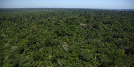 Colombia prohibió la minería y el petróleo en su bioma amazónico