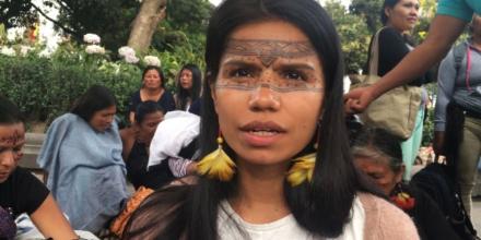 Mujeres amazónicas recolectan 250.000 semillas para restaurar la selva