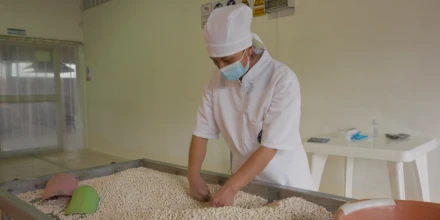 Estudios destacan al chocho como un cultivo clave para la seguridad alimentaria 