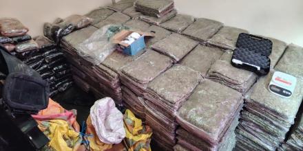 La Policía decomisó 637 kilogramos de marihuana en Imbabura