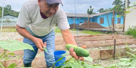 33 productores de Napo implementan huertos hortícolas