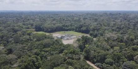 Ecuador lanza corredor ecológico Cuyabeno-Yasuní