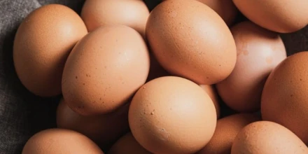 Ecuador exportará huevos de mesa hacia Emiratos Árabes Unidos