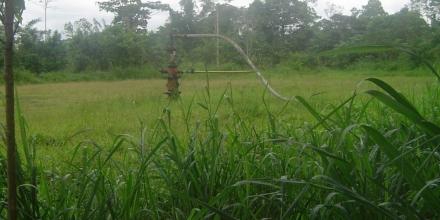 2 trabajadores de Petroecuador fueron hallados asesinados en Shushufindi