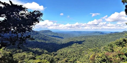 Ambiente oficializa corredor ecológico entre Llanganates y Yasuní para fortalecer la conectividad andino-amazónica