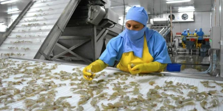 Petróleo caro eleva costos para exportadores y sectores productivos en Ecuador