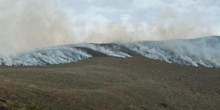 Incendio consumió mil hectáreas del Parque Nacional Cotacachi Cayapa