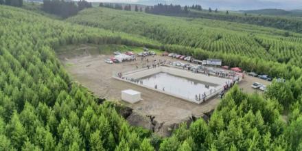 Exportaciones forestales de Ecuador alcanzan cifra récord en 2025 y crecen más del 13%