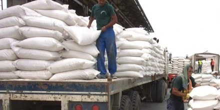 Colombia mantiene bloqueo temporal al arroz ecuatoriano hasta julio