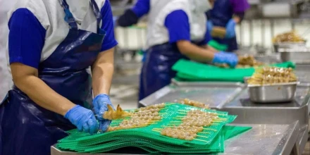 Camarón con valor agregado gana espacio en la estrategia exportadora de Ecuador