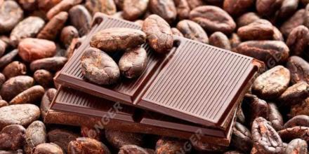 Preocupación entre productores de cacao en Ecuador