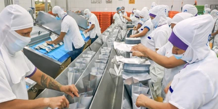 Exportaciones atuneras de Ecuador alcanzan récord en 2025 impulsadas por Europa