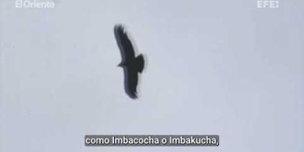 Más de medio millar de personas se unen para limpiar el lago natural más grande de Ecuador
