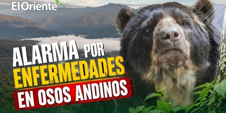 Noticias de Ecuador hoy. Podcast Noti Oriente [22 de mayo de 2026]
