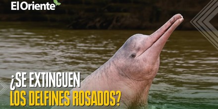 Noticias de Ecuador hoy. Podcast Noti Oriente [29 de junio de 2026]