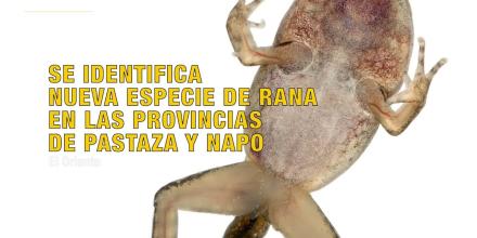 Noticias de Ecuador. Noticiero Noti Oriente [29 de diciembre de 2025]