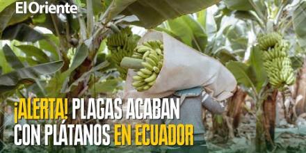 Noticias de Ecuador. Podcast Noti Oriente [20 de junio de 2025]