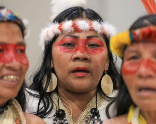 El informe constata que un 95 % de estos grupos y personas en aislamiento vive en el Amazonas