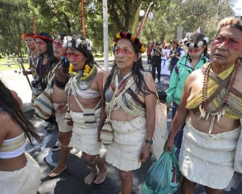 Este trabajo lo realizaron con el apoyo de equipo técnico y de las organizaciones Alianza Ceibo y Amazon Frontlines
