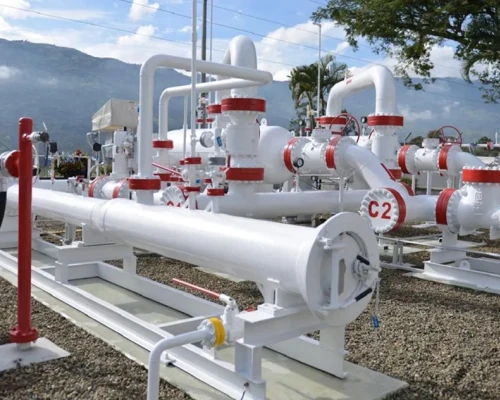 Empresas de alimentos que utilizan mucha energía están migrando al gas propano y al carbón.