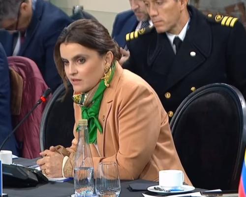 La vicepresidenta se refirió a la necesidad de tender puentes entre distintos espacios de integración 