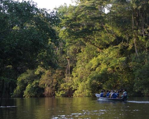 Los análisis geoquímicos señalan la presencia de elementos como neodimio e itrio, además de berilio y circonio