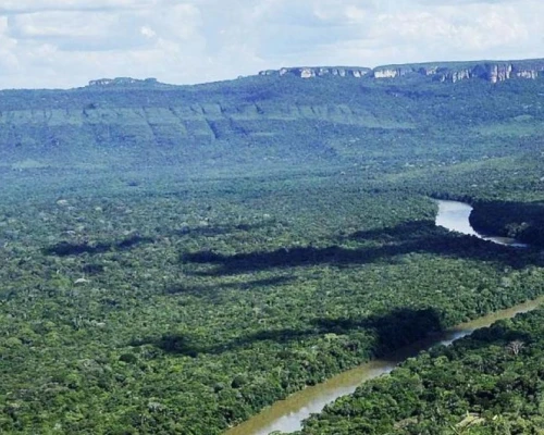 El Parque Nacional Natural Tinigua ha perdido más del 40 % de su cobertura boscosa en tres décadas