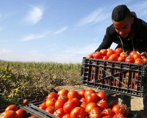 Subrayó que los términos y plazos presidenciales deben cumplirse sin presiones ni amenazas / Foto: cortesía Presidencia 